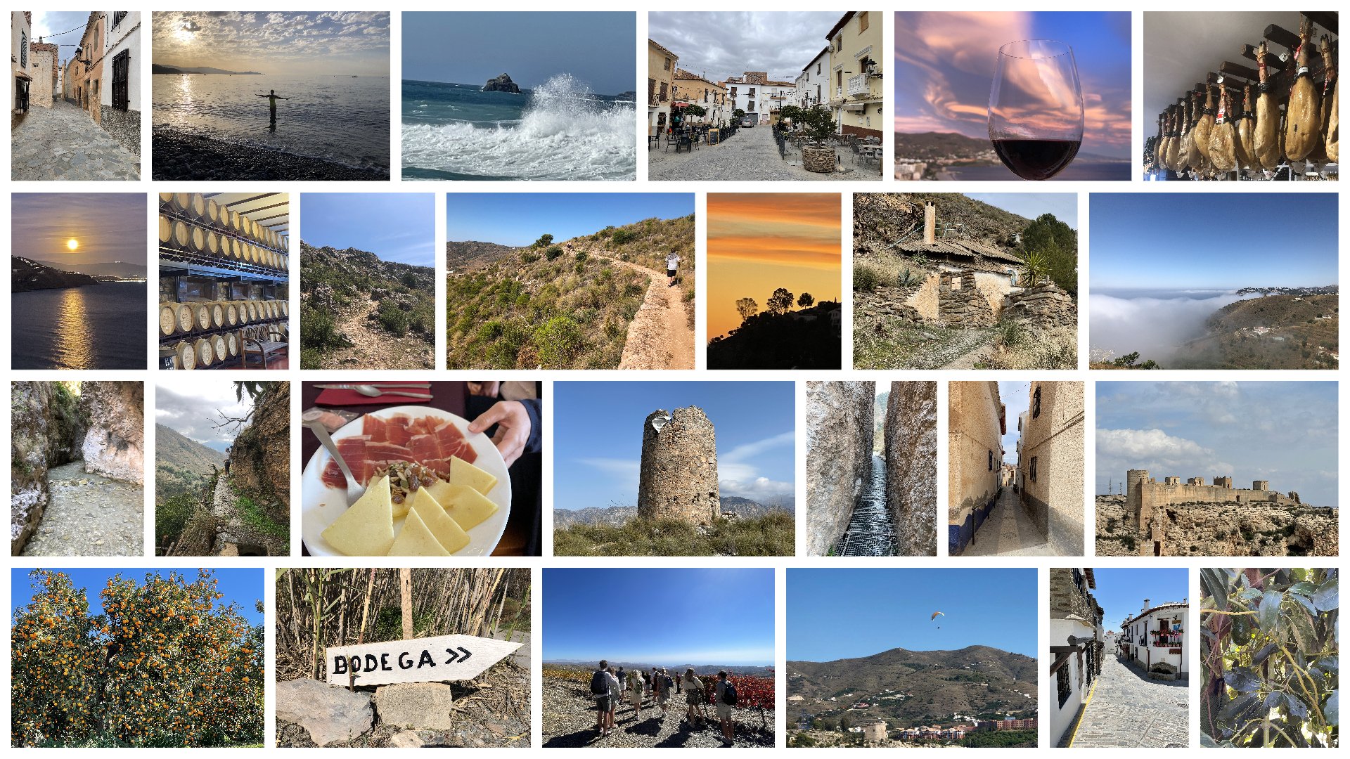 A collage of unique experiences and adventures offered on some of Hola Andalusia's tours and excursions